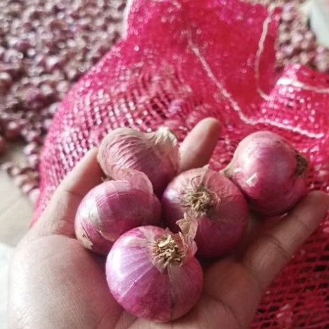 

Bawang merah super murah fress 1kg