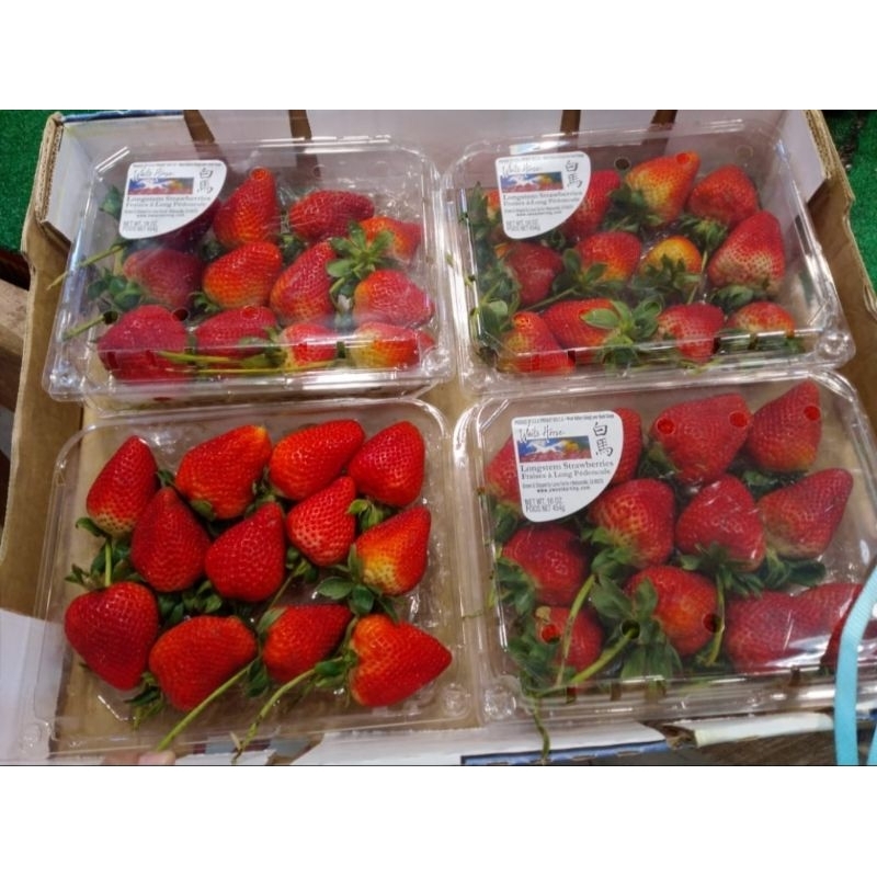 

buah strawberry inport fresh 1pck 450gr