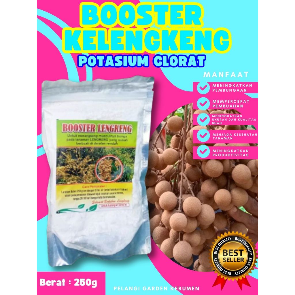 BEBAS JAMUR  Pupuk Buah Kelengkeng Kclo 3 Murni, Pupuk Buah Kelengkeng Kclo 3