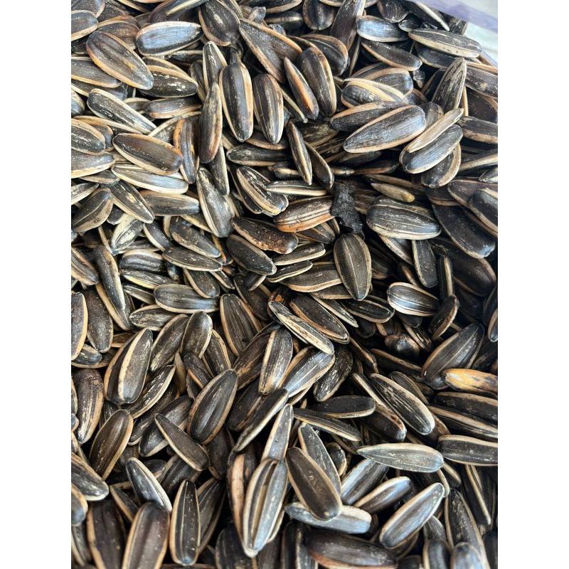 

kuaci super 250gram biji bunga mataharii siap makan