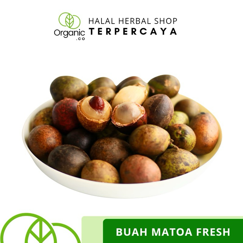

Buah Matoa FRESH 900 - 1000 gram