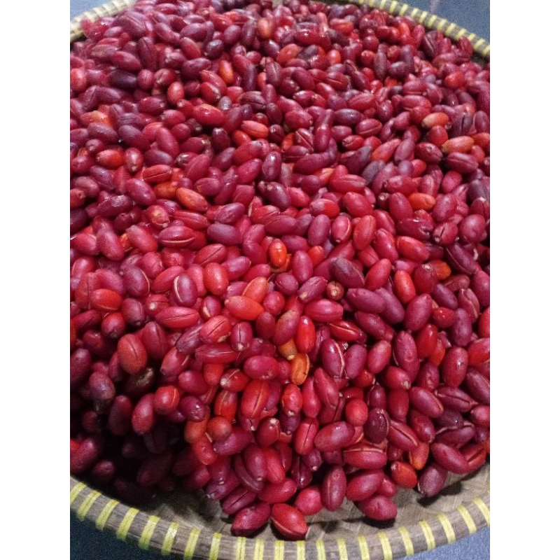 

1kg buah kulit melinjo freshh full merah