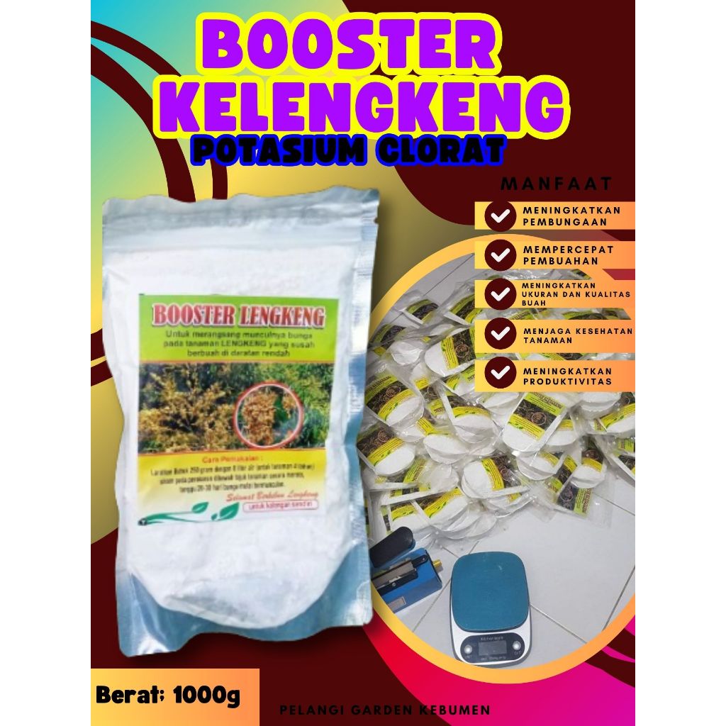 UNGGULAN  Booster Kelengkeng Stek, Booster Kelengkeng Terbaik