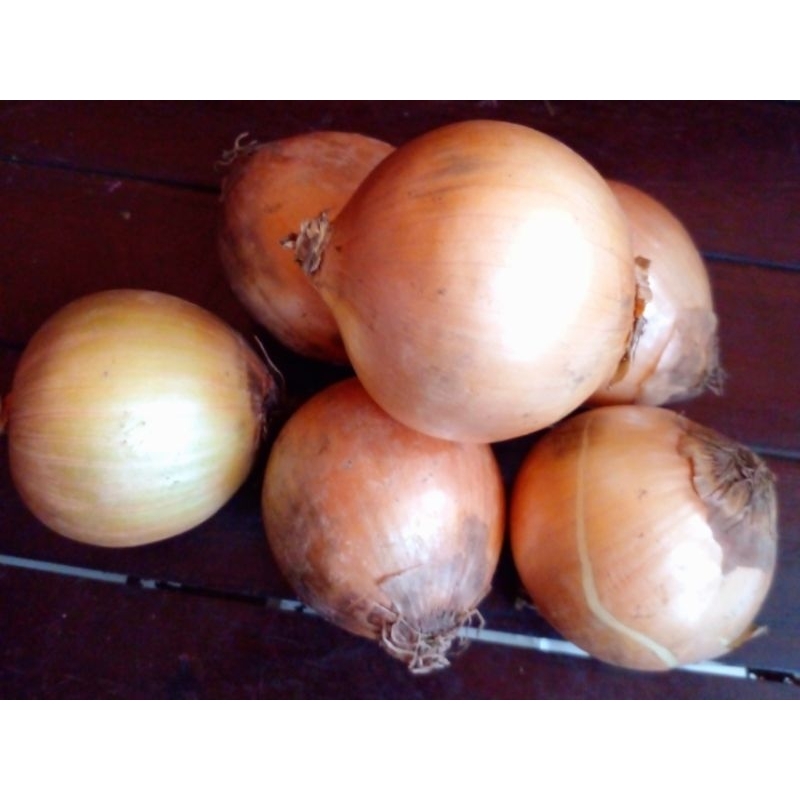 

Bawang bombay