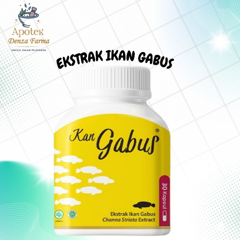 KAN GABUS [EKSTRAK IKAN GABUS]