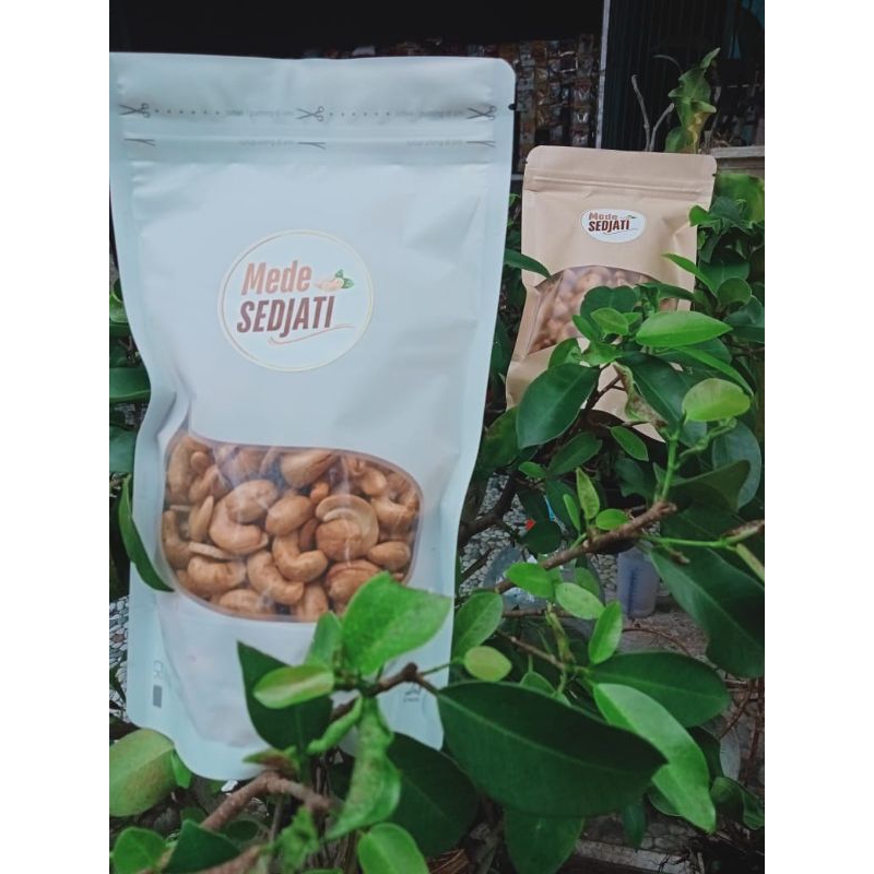 

Kacang Mdte Sedjati