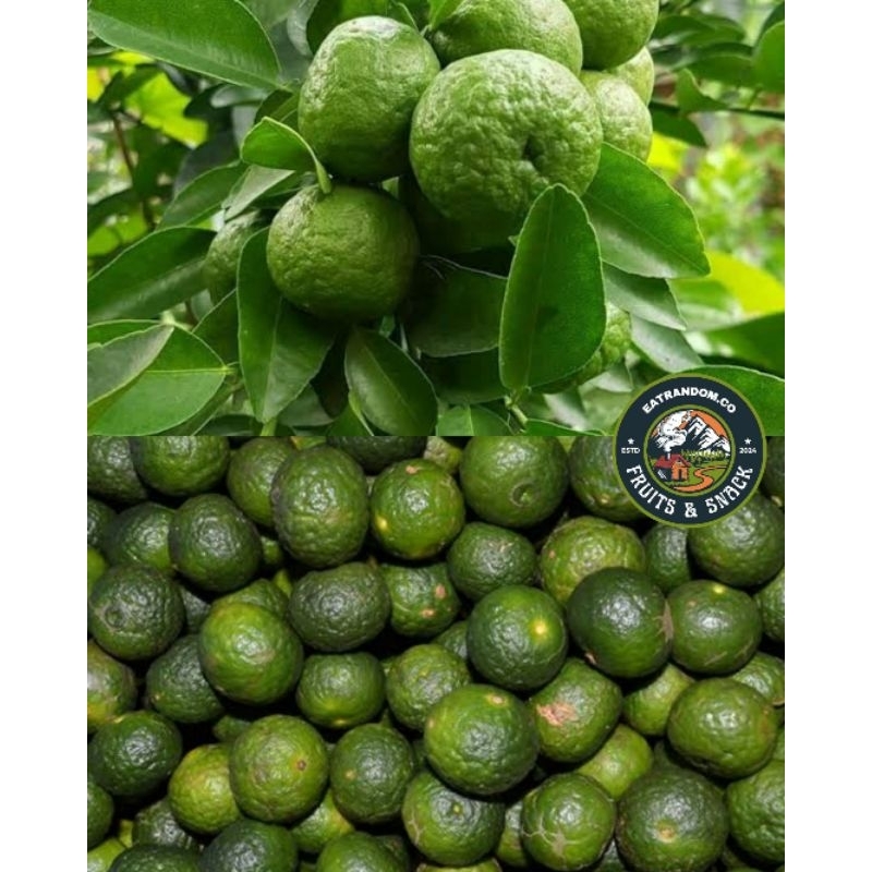 

jeruk limau/limo/Sambel freh harga spesial | request 1kg