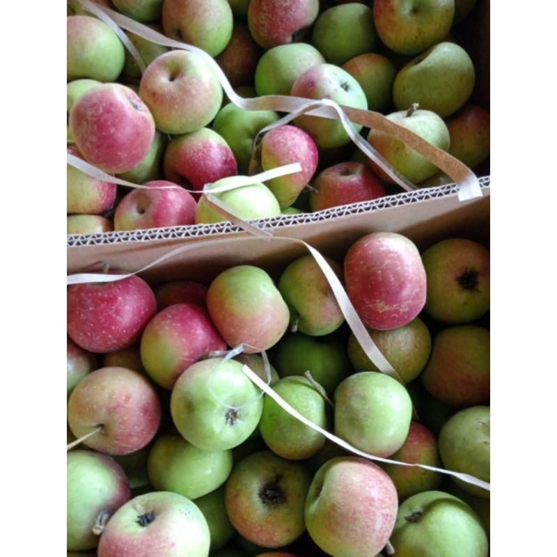Apel malang/apel hijau(500g)