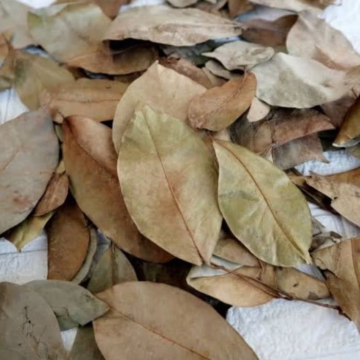 

Daun Sirsak Kering 100 Gram