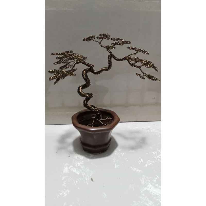 miniatur bonsai