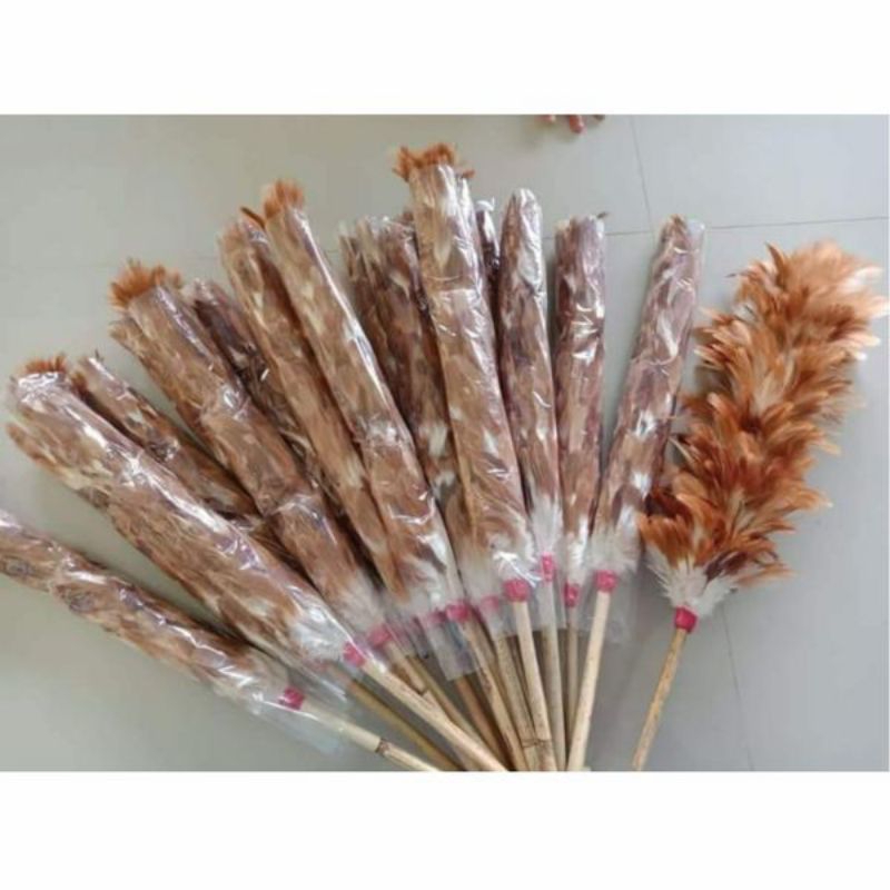 PENEBAH BULU KECIL / KEMOCENG BULU AYAM