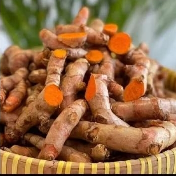 

[YN] COD KUNYIT SEGAR 1 KG / KUNYIT FRESH / BUMBU REMPAH