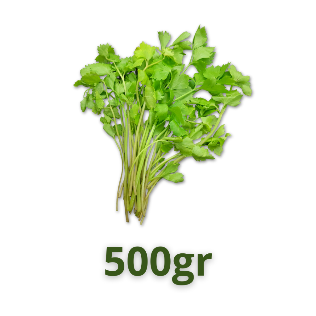 

Daun Seledri Segar 500gr / Sayuran hijau / Sayur segar / Sayr daun hijau / Masakan sayur
