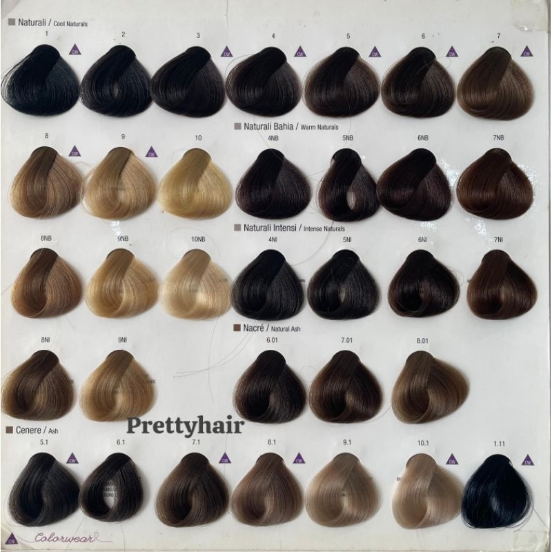 Cat Rambut Evolution Alfaparf Milano