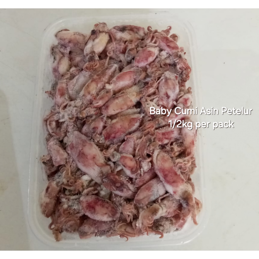 

baby cumi asin Frozen (petelur)