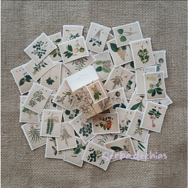 

5 PCS Stiker Vintage Motif Bunga / Tanaman / Plant Stickers Dekorasi Jurnal / Diary