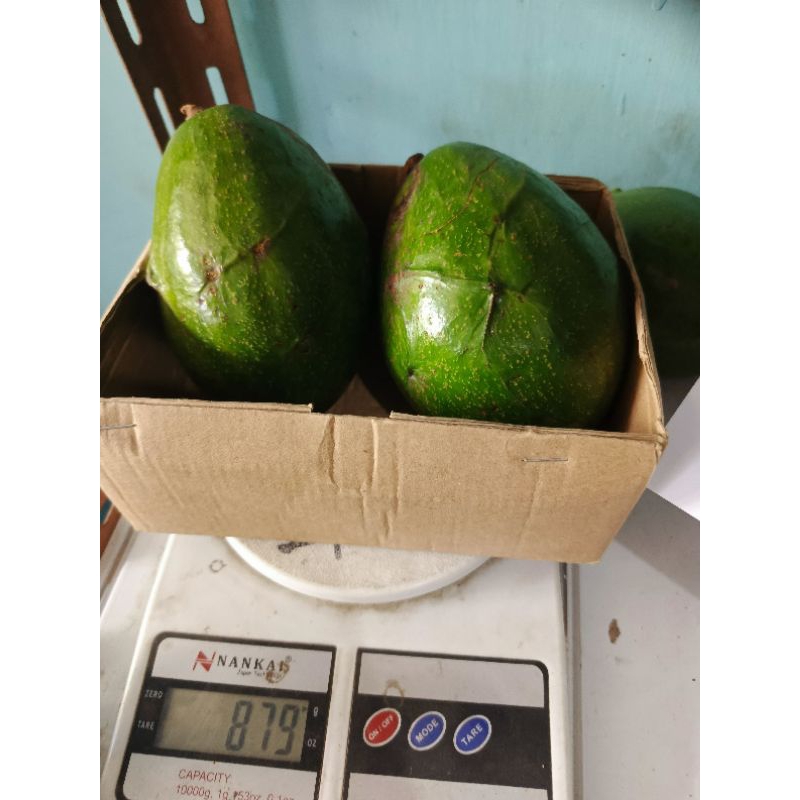 

alpokat kualitas super / Pokat Jumbo Premium alpokat madu per Kg
