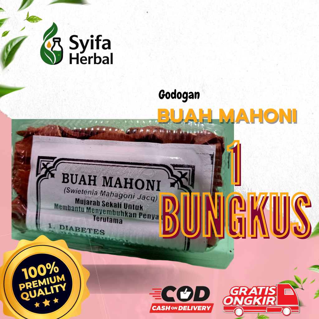 

Biji Buah Mahoni Kering Anti Kanker Alami tanpa kimia - syifa herbal
