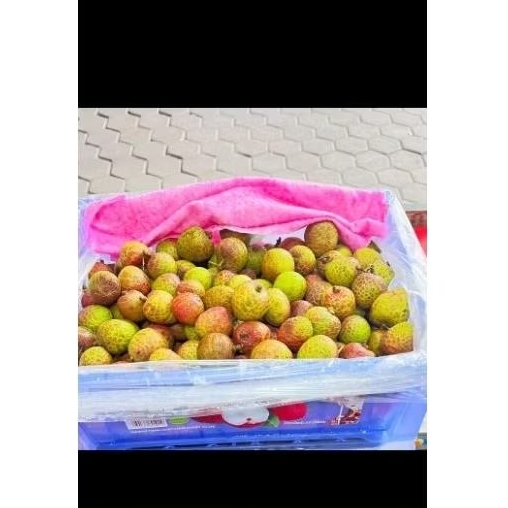 

Leci Madu