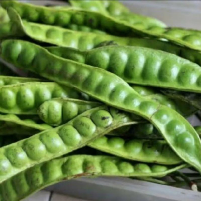 

Lalapan Pete petai per papan / lonjor fress 100%