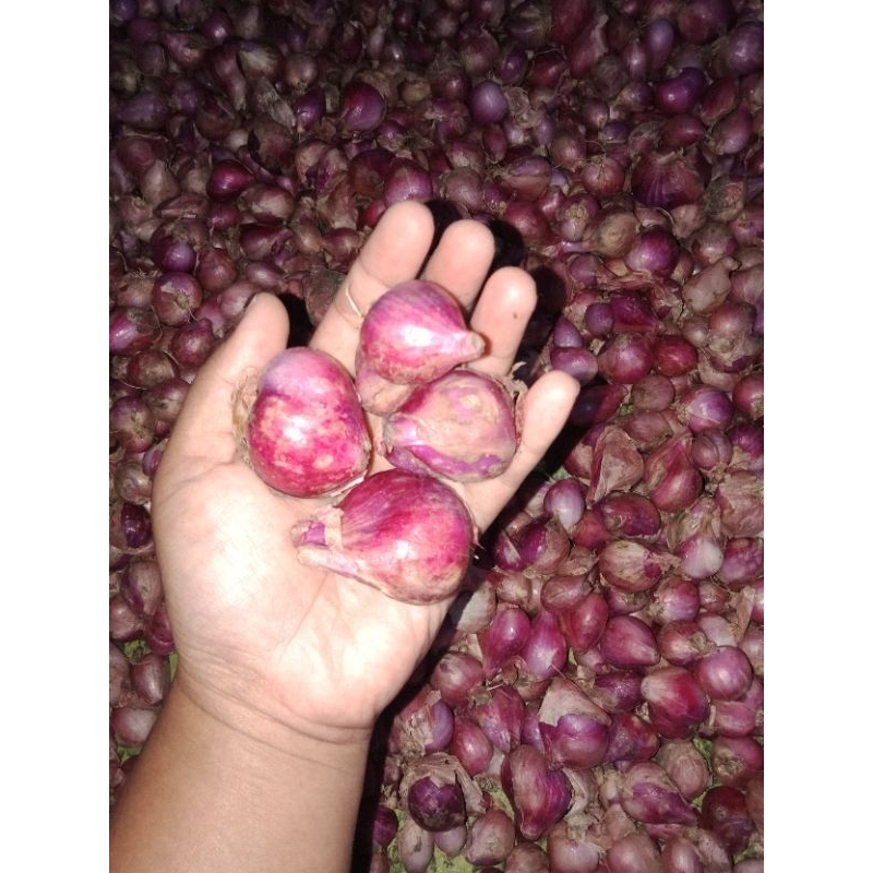 

Bawang Merah Fresh Besar, berat 1kg