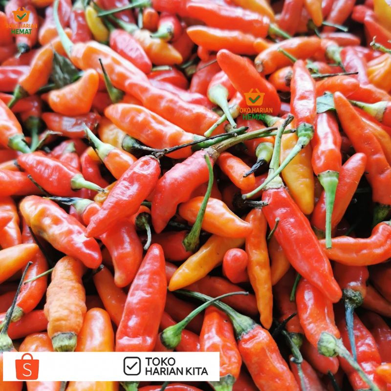

Cabai Rawit Merah Segar 1Kg - Pedas Alami, Cocok untuk Masakan Harian