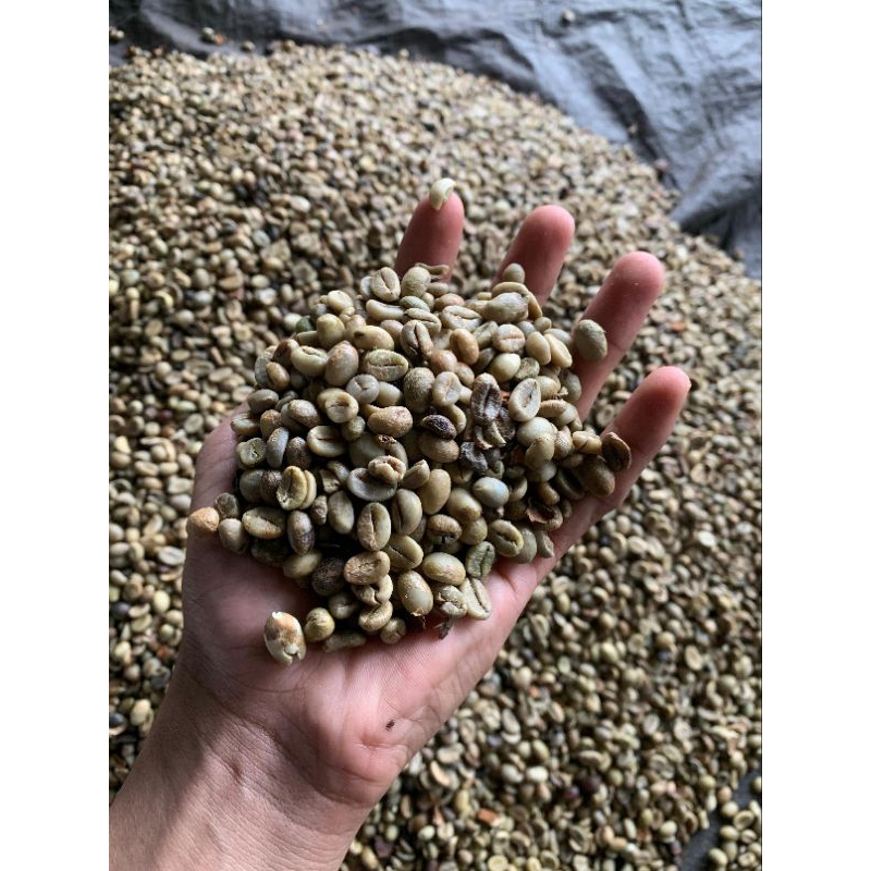 

Biji Kopi Robusta Original 1kg (biji mentah)