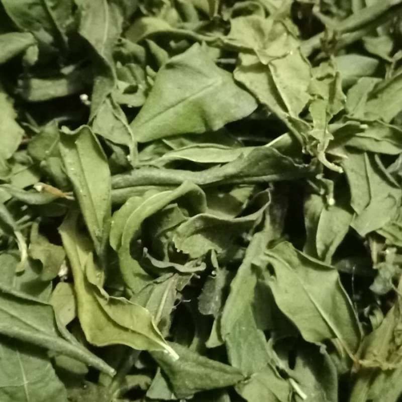 

Daun delima kering meningkatkan kesehatan pencernaan dll.