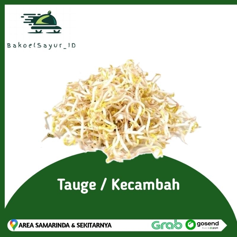 

Tauge / Kecambah 250gr