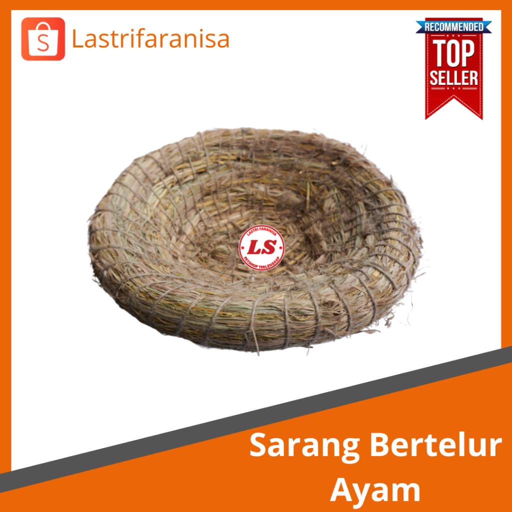 SARANG AYAM Jumbo Sarang Tempat Tidur Ayam Bahan Jerami Tempat Bertelur