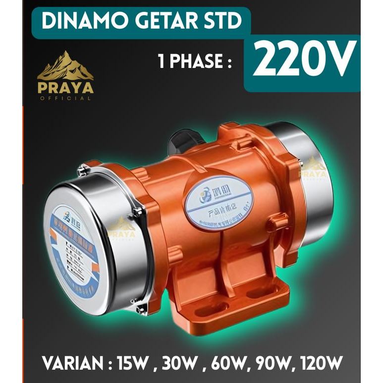Dinamo Penggetar Kecil 1Phase Motor Getar 1Phase 15W-120W 3000 rpm for Building Mechanical Devices