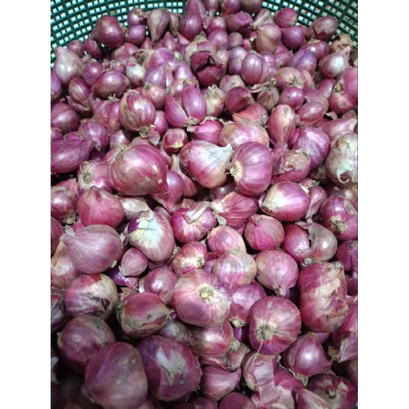 

1KG BAWANG MERAH ASLI PROBOLINGGO