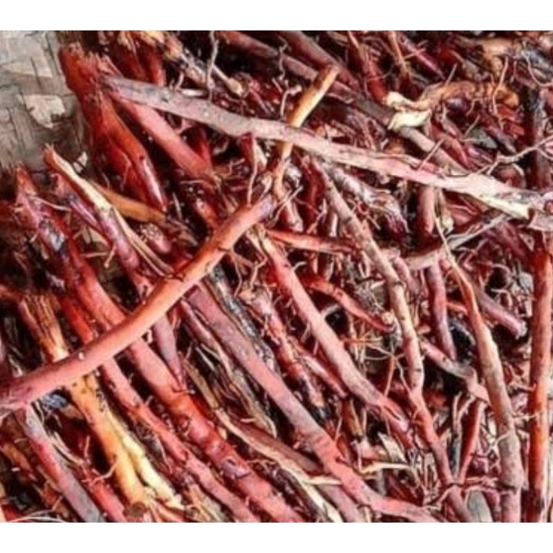 

Akar pohon kelapa akar kelapa segar 1 kg-az