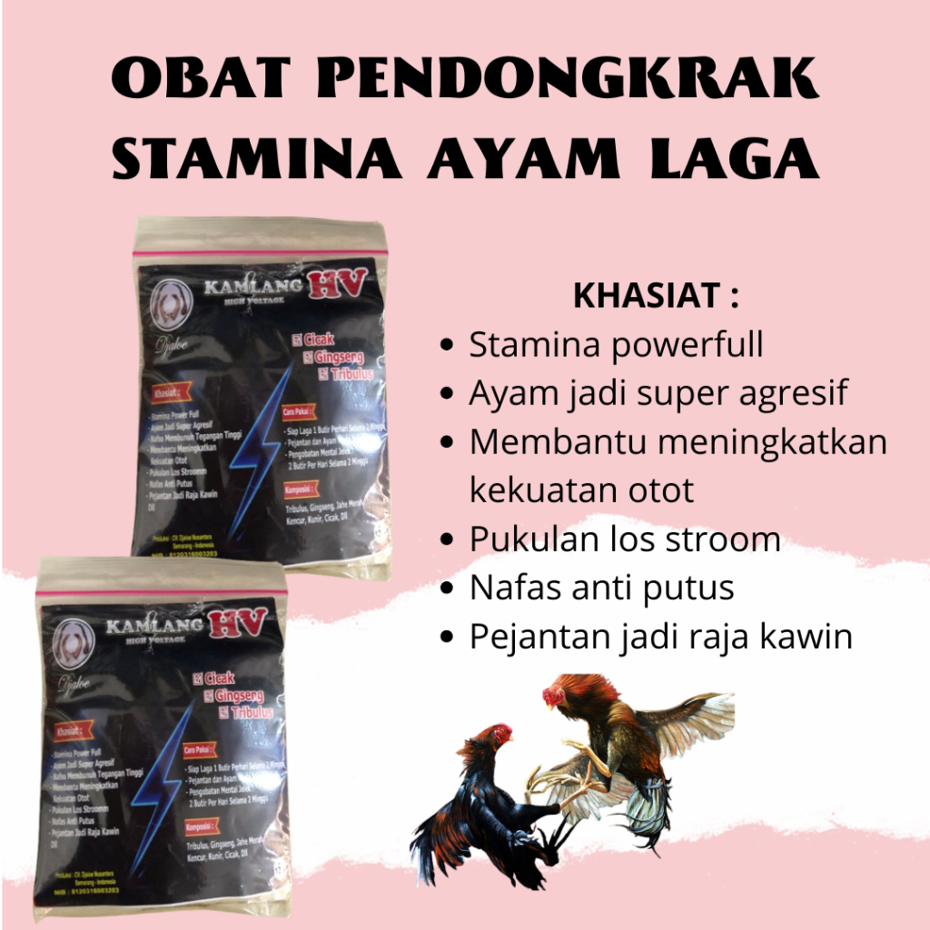 JAMU AYAM HERBAL  MENAMBAH STAMINA AYAM ADUAN BANGKOK PELUNG SUPER AGRESIF