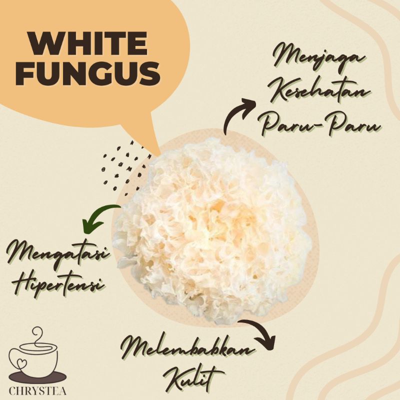 

CHRYSTEA || White Fungus / Jamur Salju 250gr