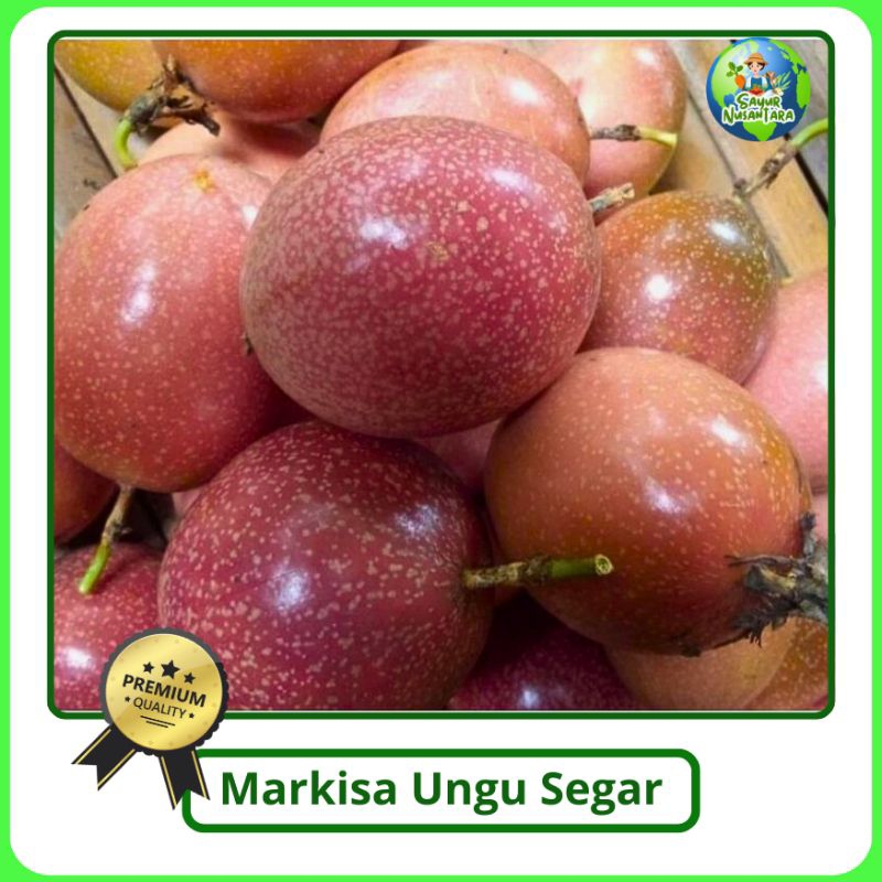 

Buah Markisa ungu/Markisa Merah/ Markisa Madu [500g] Asli Manis segar