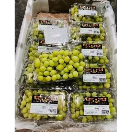 

GROSIR Termurah - Anggur Hijau Thompson Pack Australia - Manis Tanpa Biji