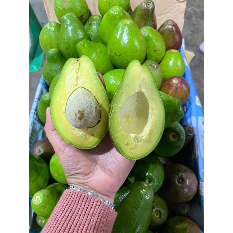 

alpukat mentega 345 buah