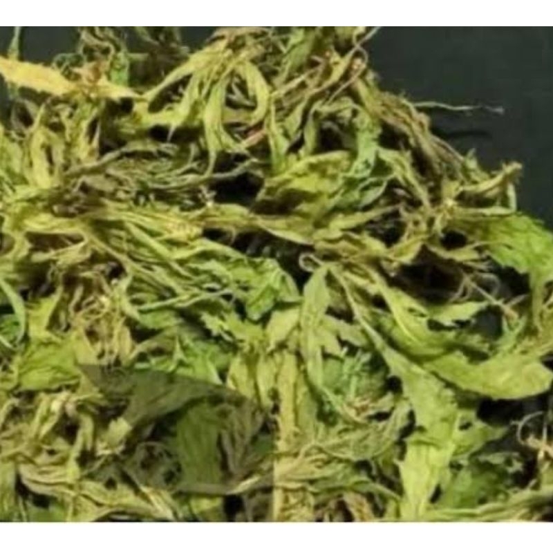 

Daun kitolod kering kering natural 100 gram