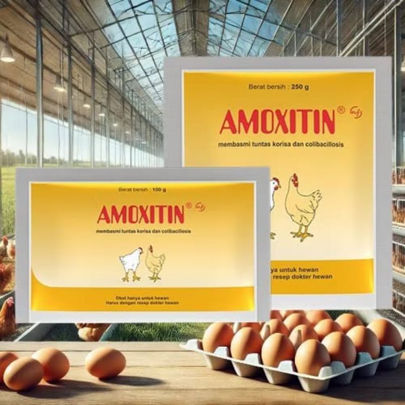 Amoxitin 250g Medion