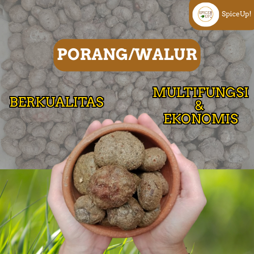 

Porang/ Walur/ Chips Porang – Bahan Baku Glukomanan 100% Alami