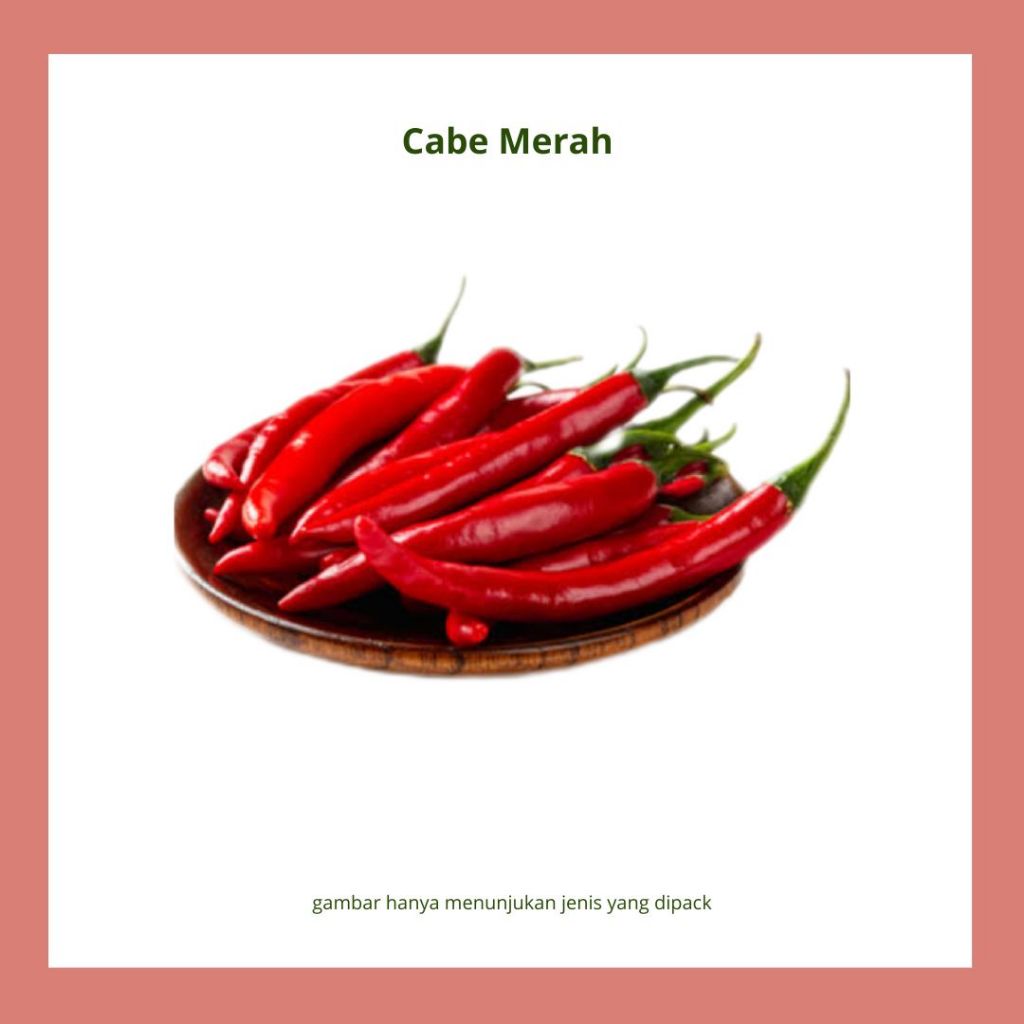 

cabai merah besar