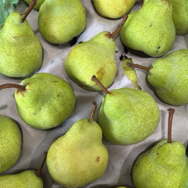 

Pear Packham / Pir Hijau