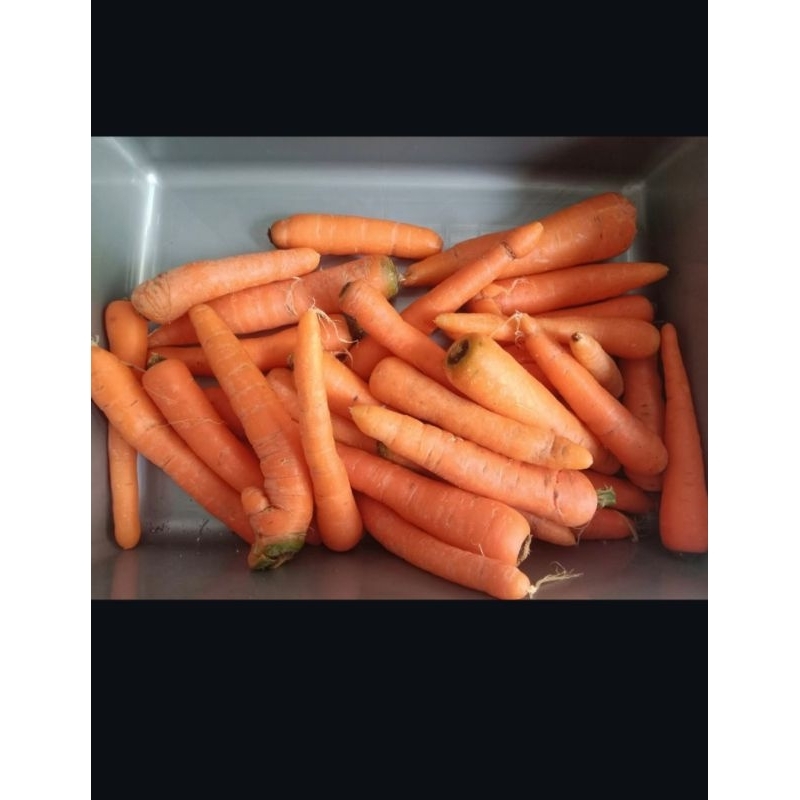 

wortel sayur lokal fress 500gram