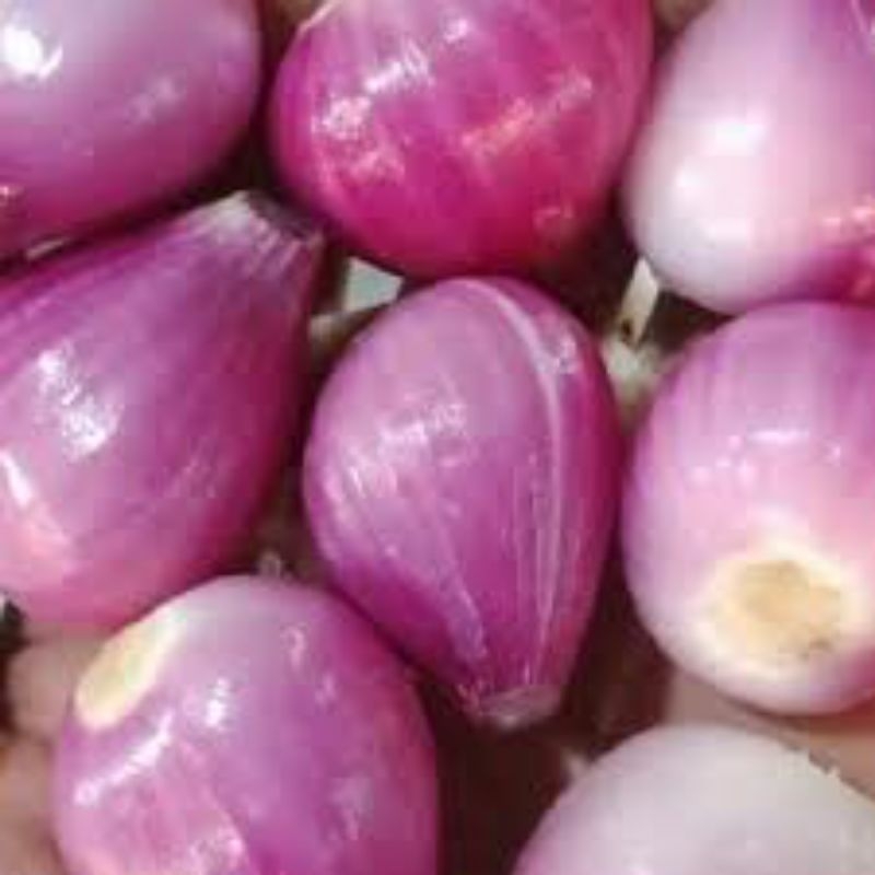 

Bawang merah kupas Rp 8.500 / 250 gr