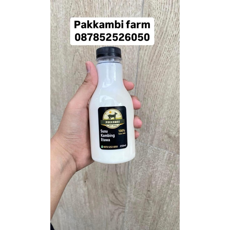 

Susu kambing etawa murni