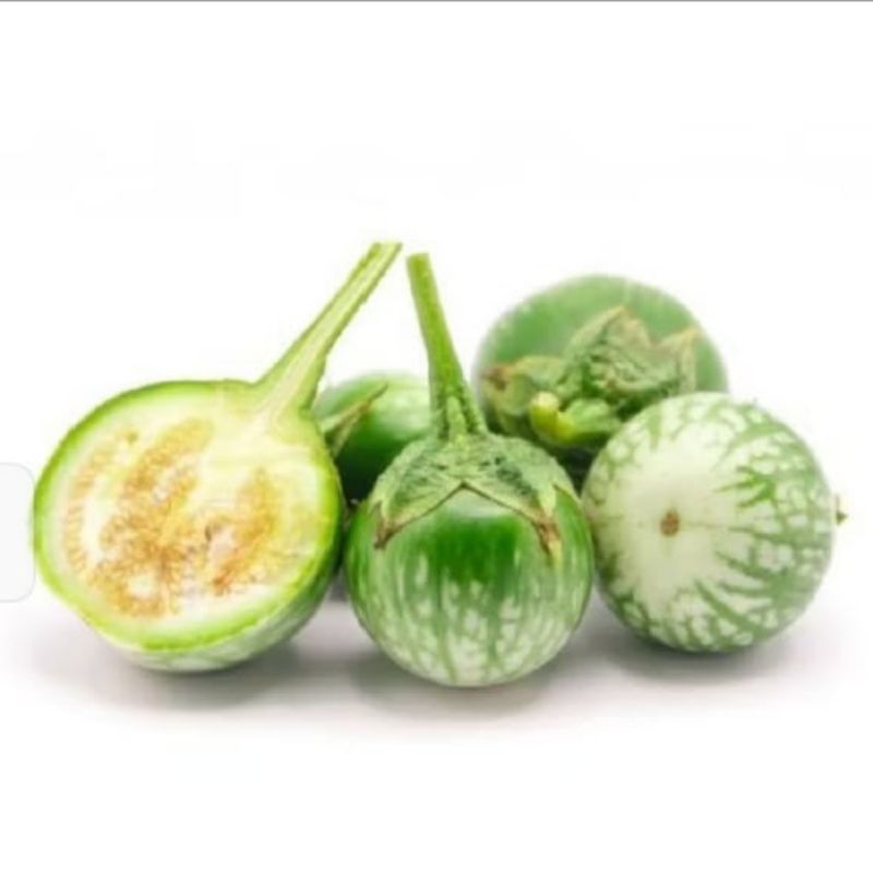 

terong bulat hijau 250g,500g