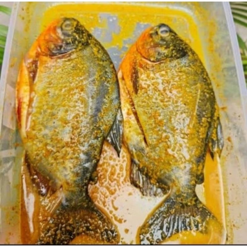 

Ikan bawal tawar bumbu kuning 500gr..
