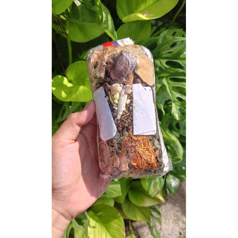 

Jamu Godogkan Bahan kwalitas / paitan