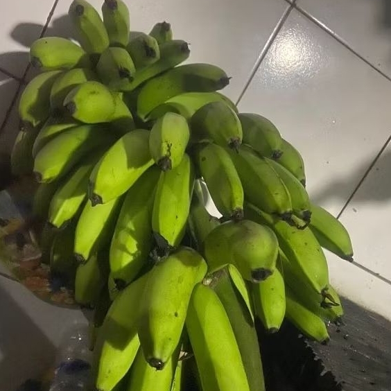 

Buah Pisang Mentah TP Pink Kecil Pisang Bangkaulu